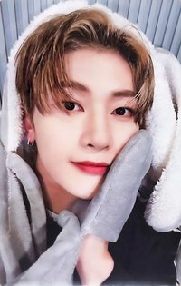 迷二 ms 特典卡 兔毯 ver.