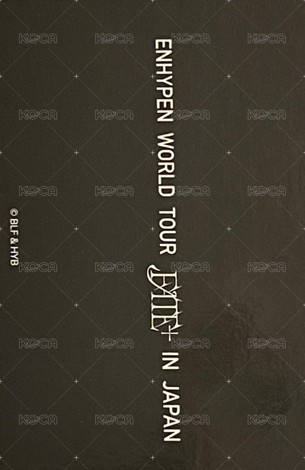 FATE+ 周邊卡 襯衫卡 背面