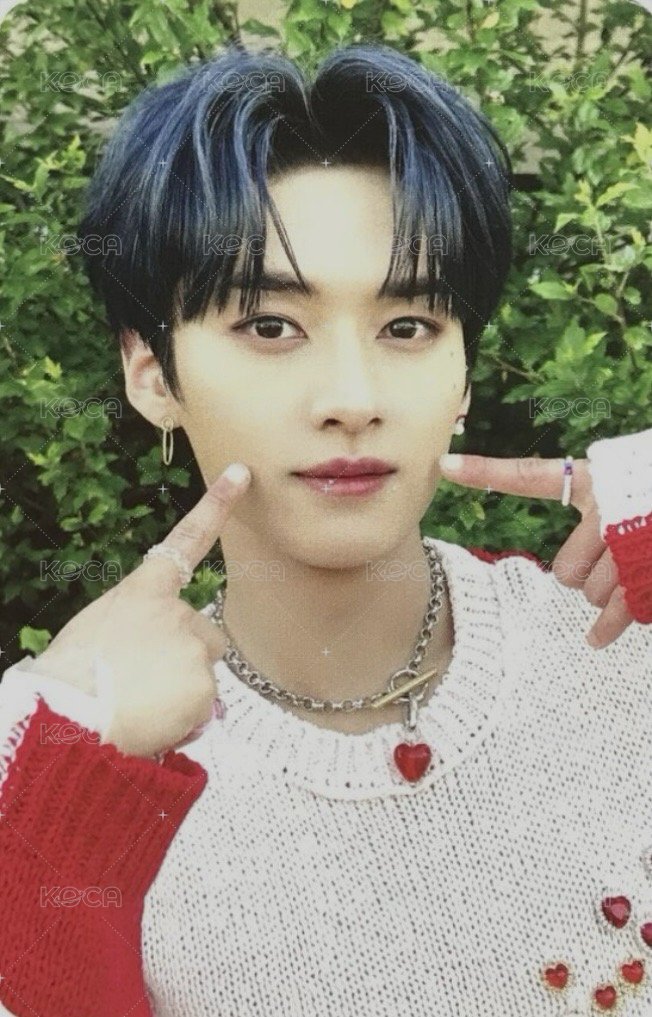 MAXIDENT bdm 特典卡  正面