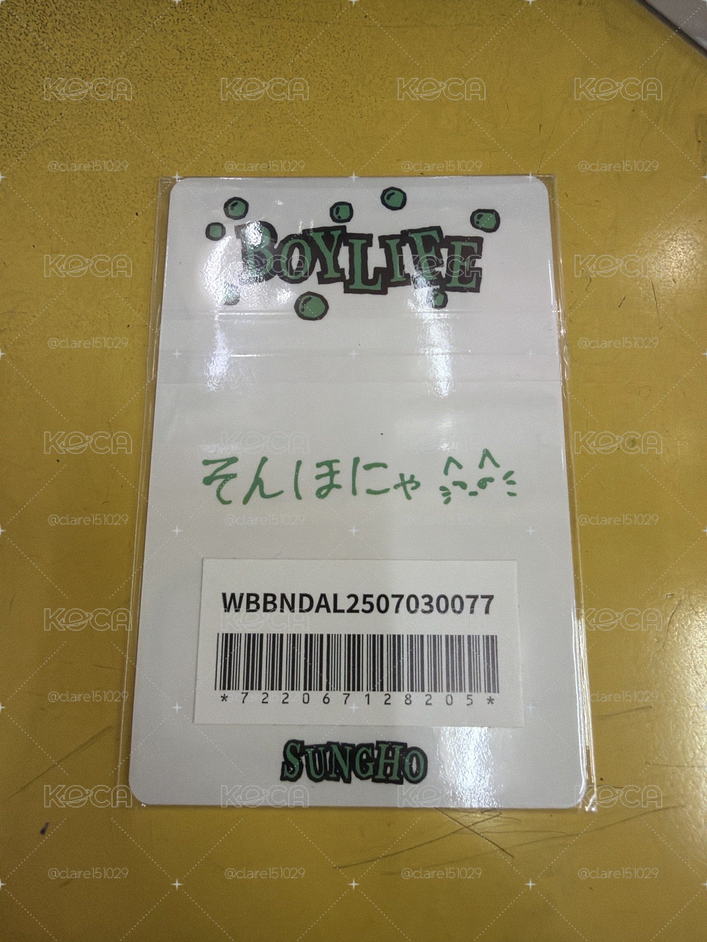 boylife 成淏
