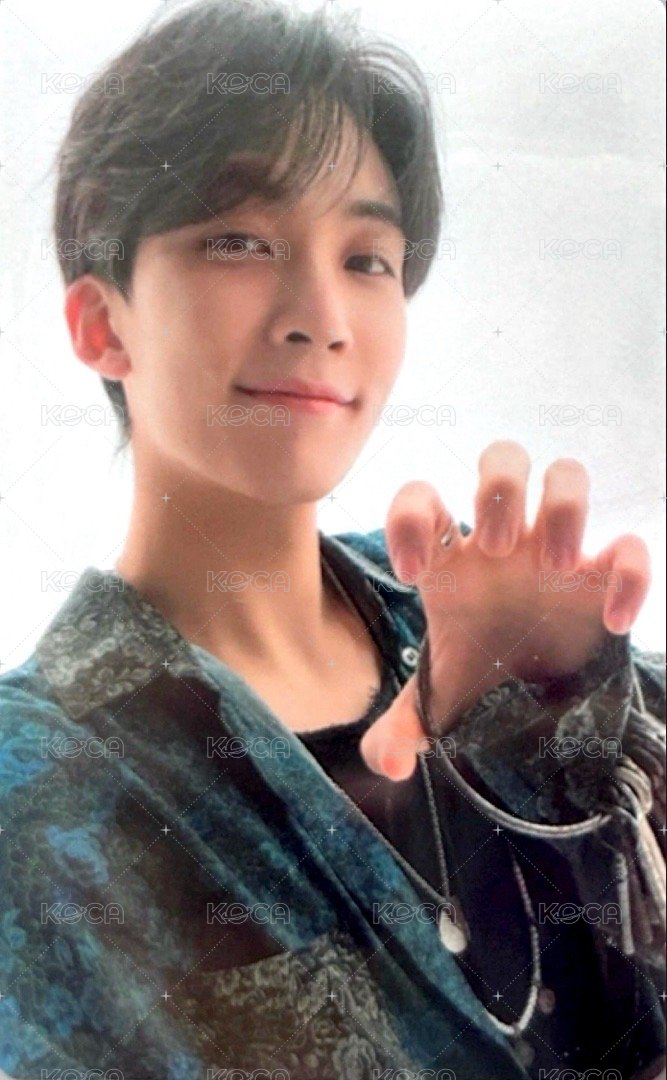 正四 專輯卡 正規四｜CARAT ver. 正面