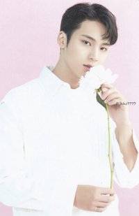 23‘CAFE IN SEOUL 隨機卡 23’CAFE｜卡包