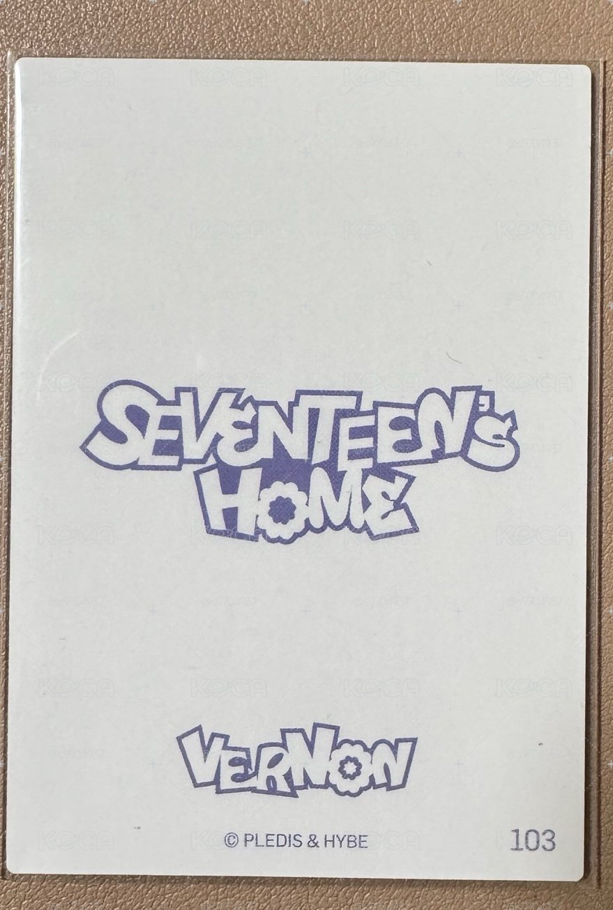 24‘Home卡包 Vernon