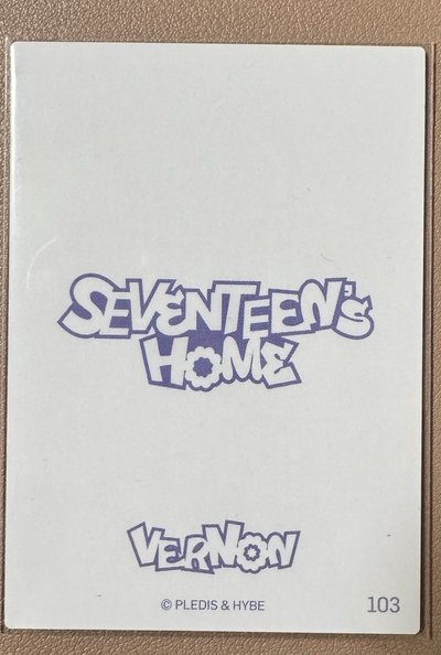 24‘Home卡包 Vernon