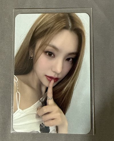 楠藝1.0志
