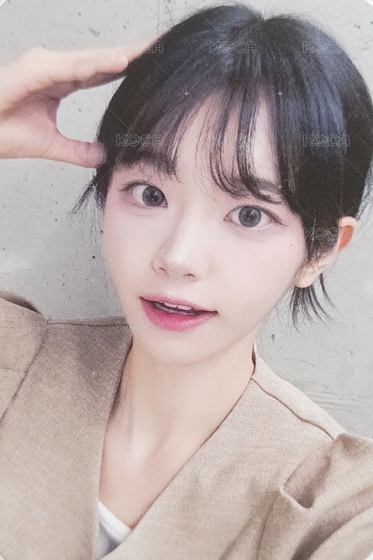 迷三 dmm 線下1.0 簽售卡 小狗影子丹 正面