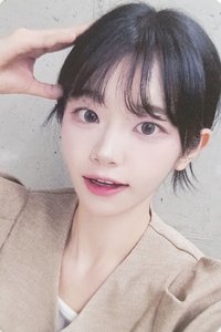 迷三 dmm 線下1.0 簽售卡 小狗影子丹