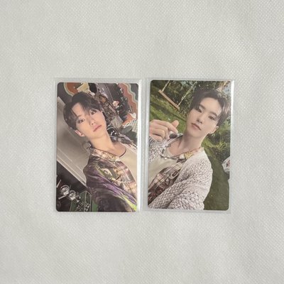 SEVENTEEN MINI11 特典卡｜順榮🐯