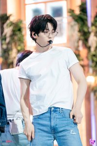 兔子會愛上狐狸嗎