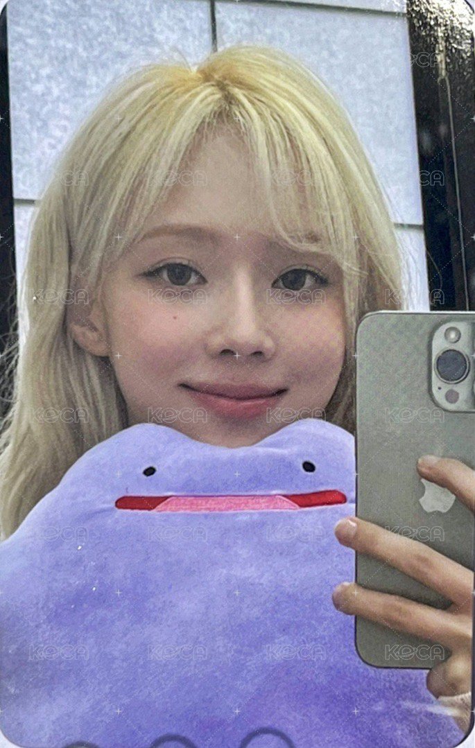 正規一 打歌卡 打歌冬 百變怪冬 正面