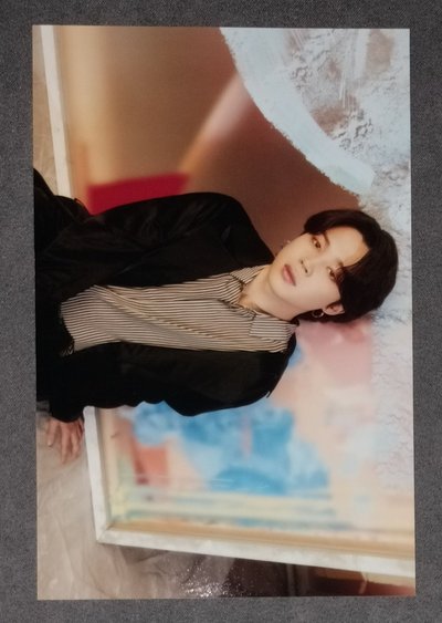 The Daydream Believers 展覽週邊 生寫真組