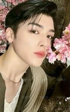 雪明かり (yukiakari) 專輯卡 通常專卡 正面