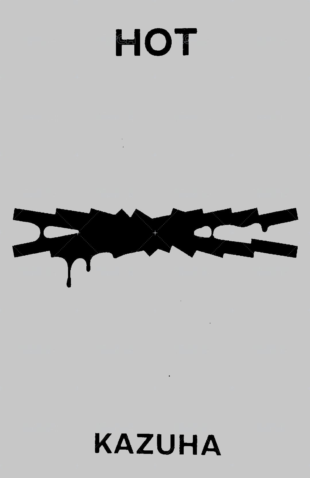 HOT 打歌卡 二週打歌 背面