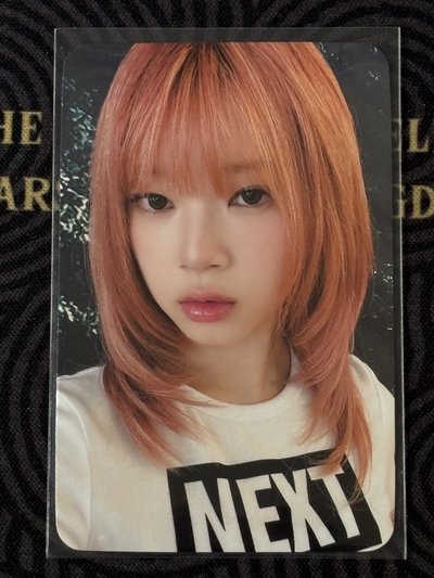 CURIOUS DMM特典Kotoko🦌