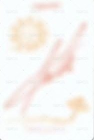 ODYSSEY ms 台北合影 簽售卡  背面