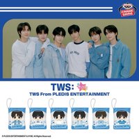 萬代 夾娃娃機 袋裝娃娃