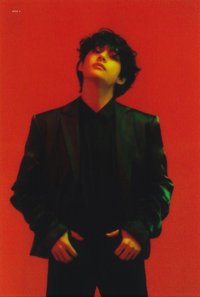 MOTS概念書 周邊卡 透卡 Clue版 固卡