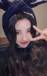 正規二 yzy 6.0 簽售卡 小毛驢