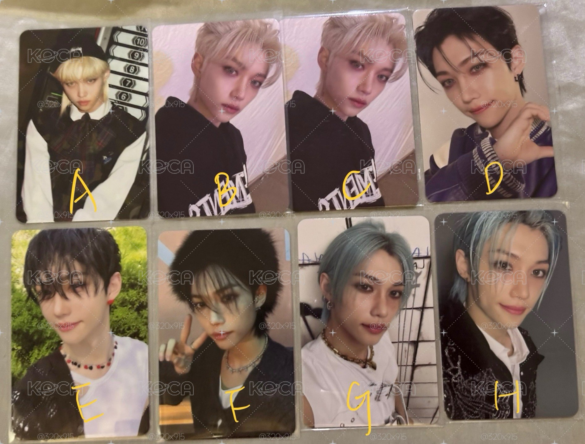 龍馥 Felix 專輯卡 限量版普版單封版