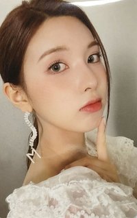 ENTWURF hello82 預售 特典卡 