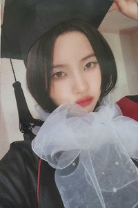 正規二 ms 5.0 特典卡 畢業娟