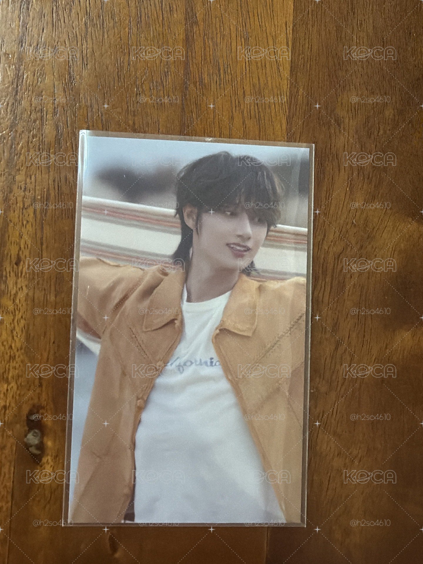 SEVENTEEN 日專 愛知場限 俊