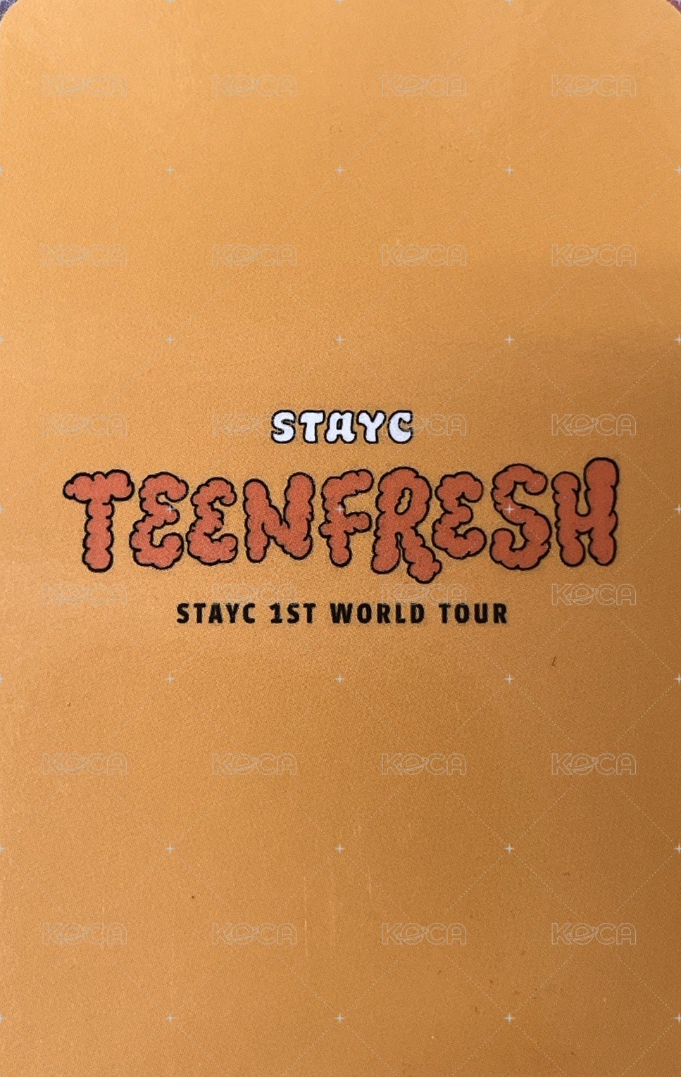 1st World Tour TEENFRESH 入場卡 / 場限卡 首爾入場卡 花環勾 背面