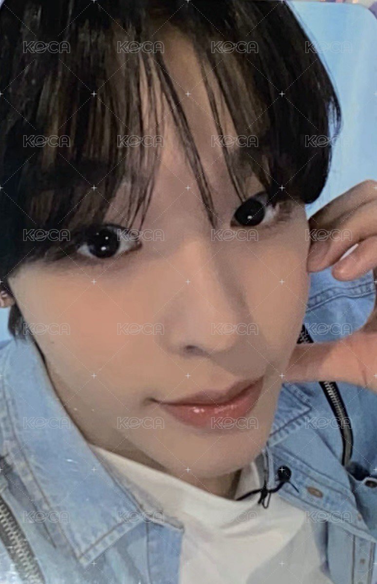 Songbird el 幸運卡  正面