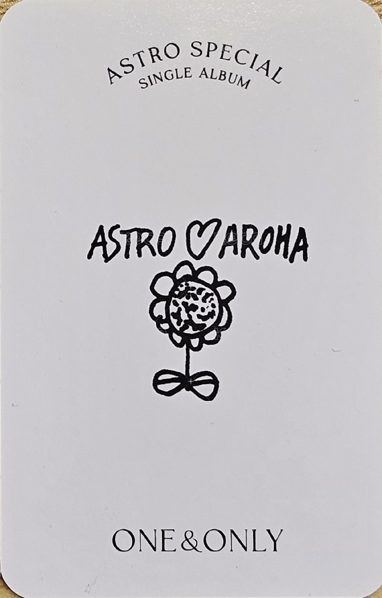 飯頌 專輯卡  背面