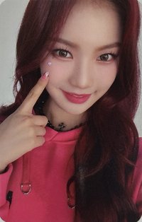 泰迪熊 el 特典卡 