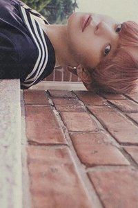 FEVER再版專 專輯卡 Platform Inception