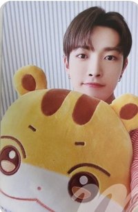 ANITEEZ IN ICE CITY 周邊卡 plush cushion