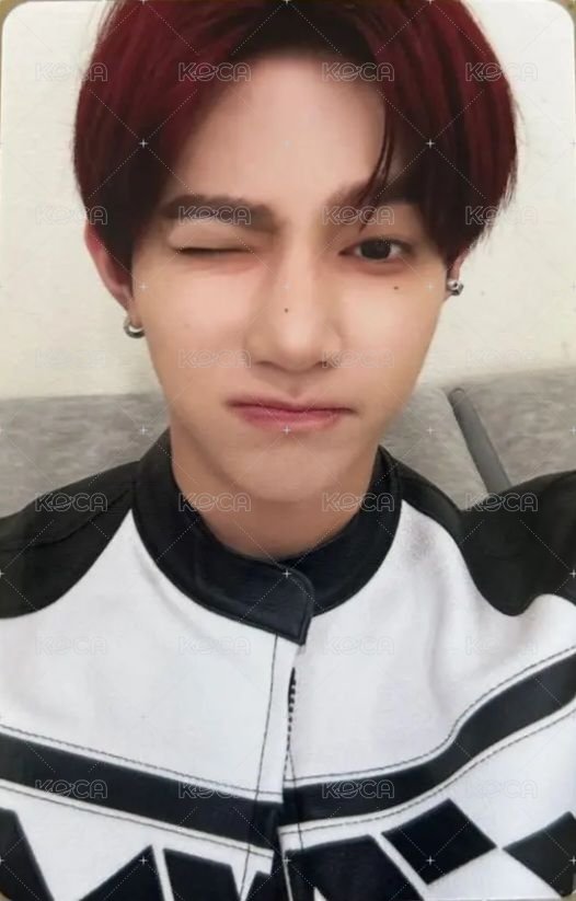 正1日專 專輯卡 Wink ver. 正面