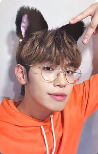 迷一 ms 1.0 特典卡 貓耳 ver.