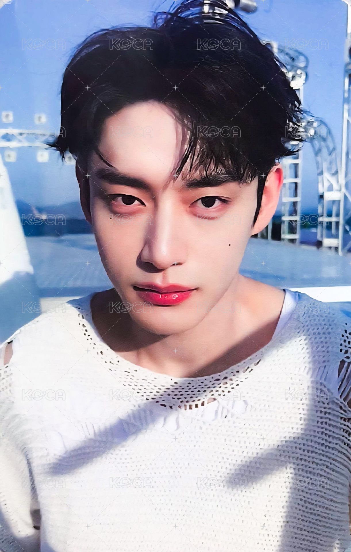 迷三 wm 特典卡 嘻嘻不嘻嘻 背面