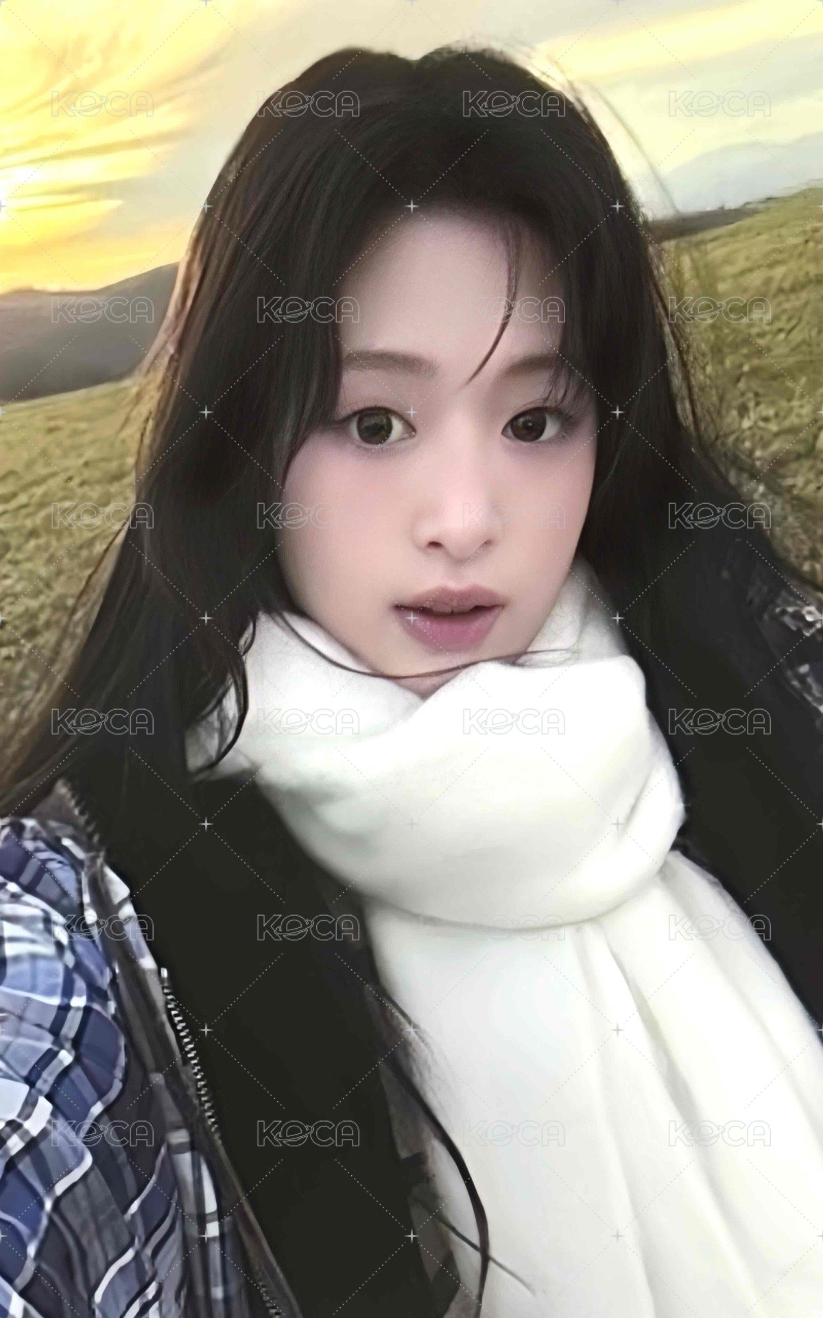 25’世巡 wvs 相框卡 周邊卡  正面