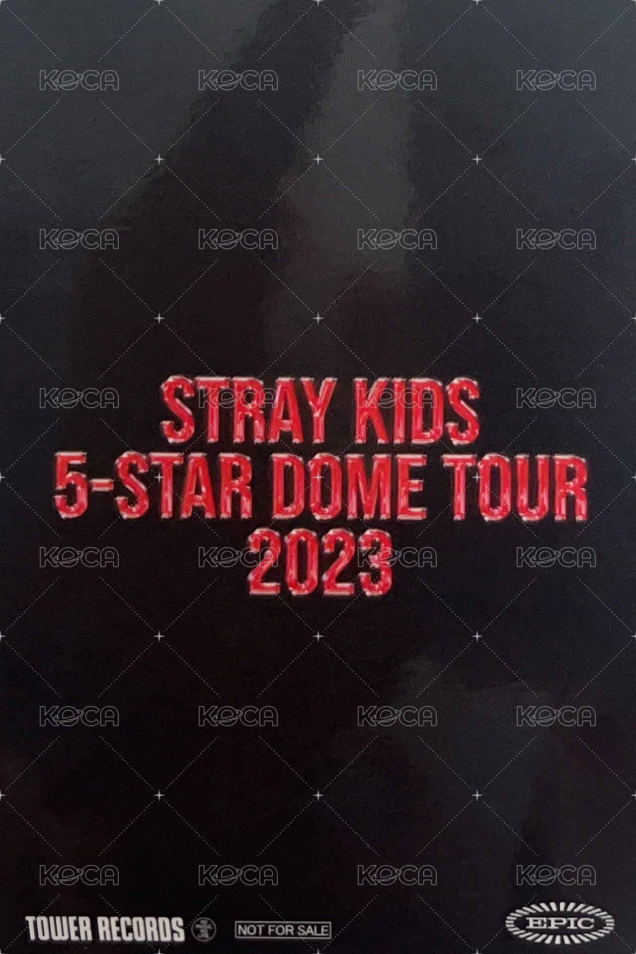 1st 日本巨蛋巡迴 塔店 特典卡  背面