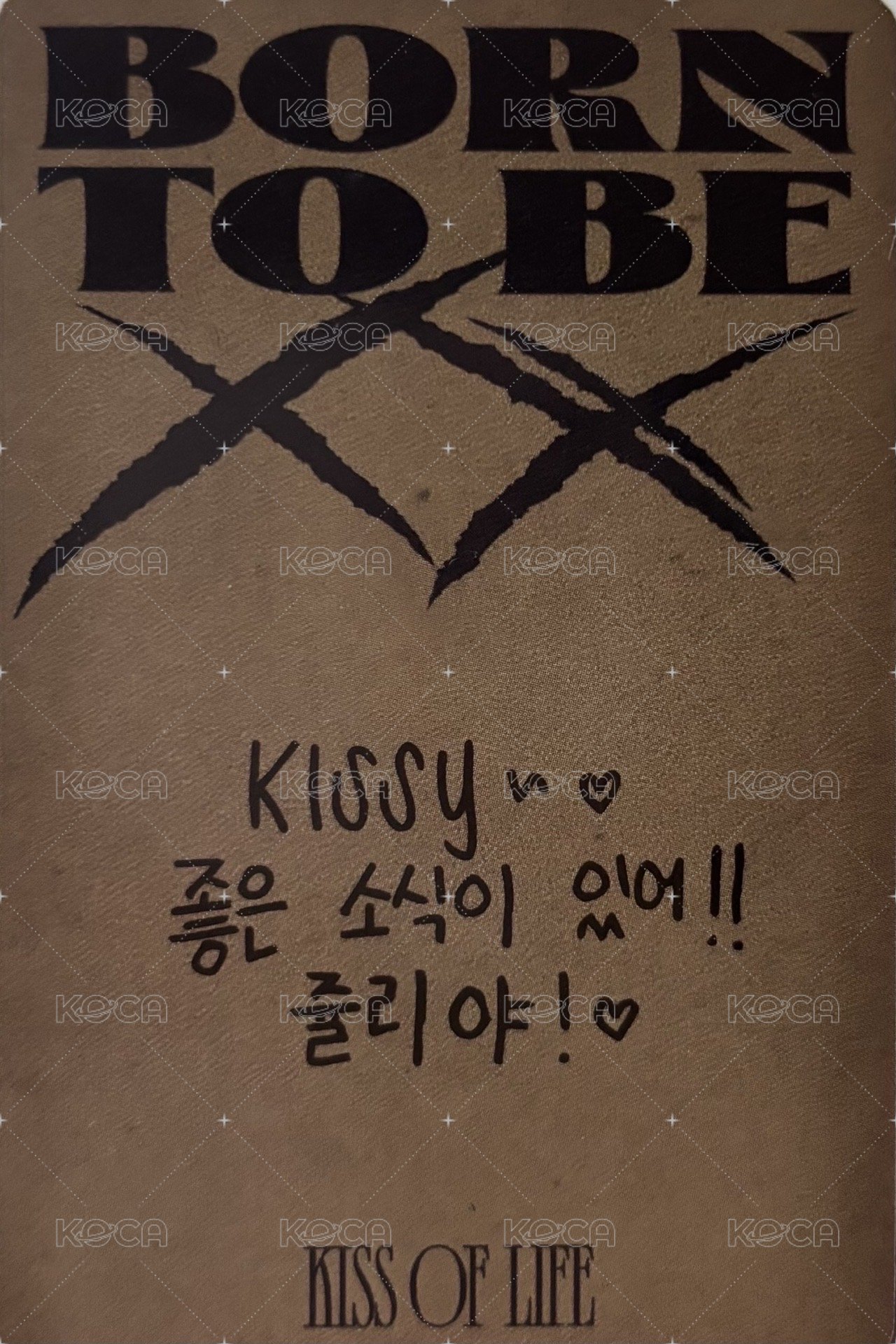 Born to be XX 專輯卡  背面