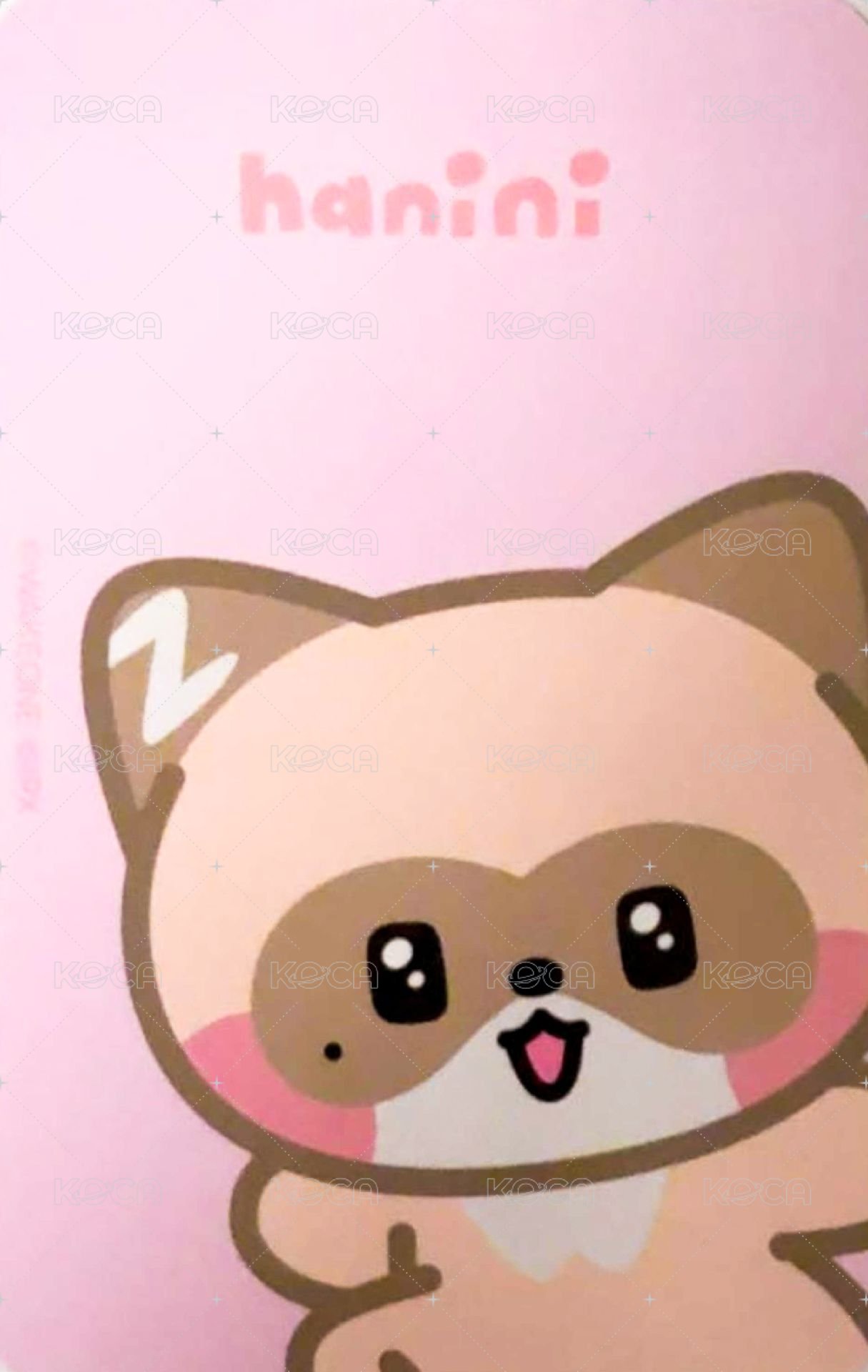 迷三快閃 周邊卡 卡套卡 背面