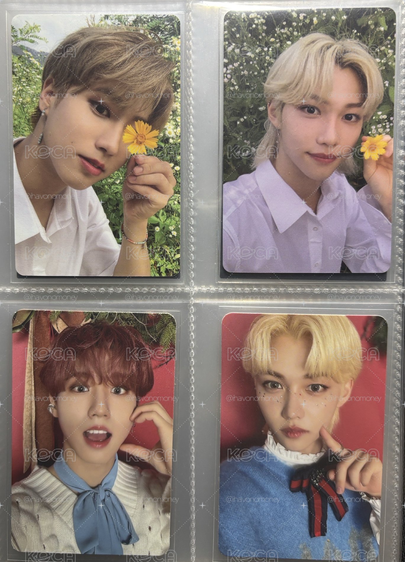 SKZ 城菲花卡+聖誕紅底|單人不拆