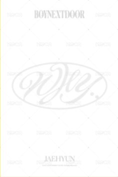 WHY.. 明信片 DAZED ver. 背面