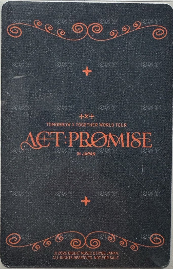 24’巡迴 演唱會 DVD / CD 卡 日巡 背面