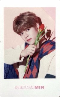 1st 世巡 周邊卡 小卡組