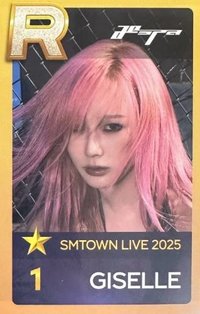 25SMT&30th 入場卡 / 場限卡 首爾場vip吉