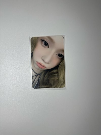 （有損）立牌冬