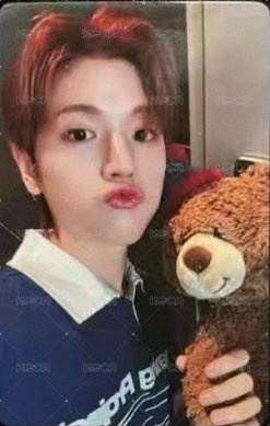 19.99 yzy 3.0 簽售卡 抱熊2 正面