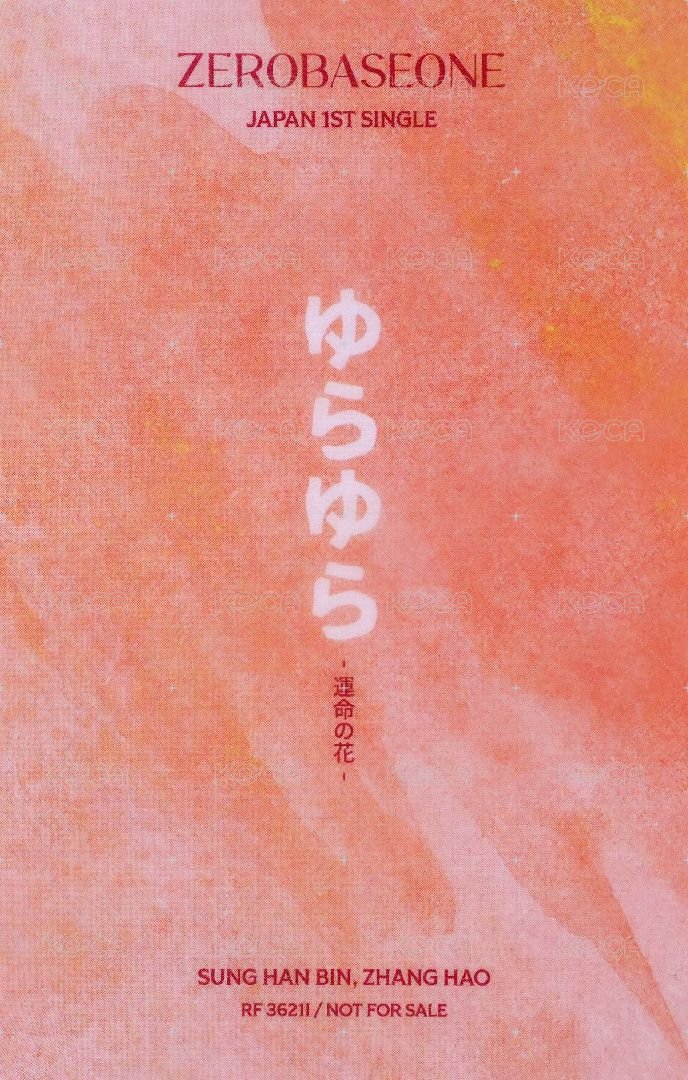 日專 專輯卡 通常盤 ver. 背面