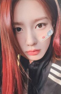 正規二 el 2.0 簽售卡 庫洛米麵