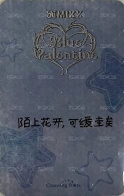 正規一 數星星 預售 特典卡  背面