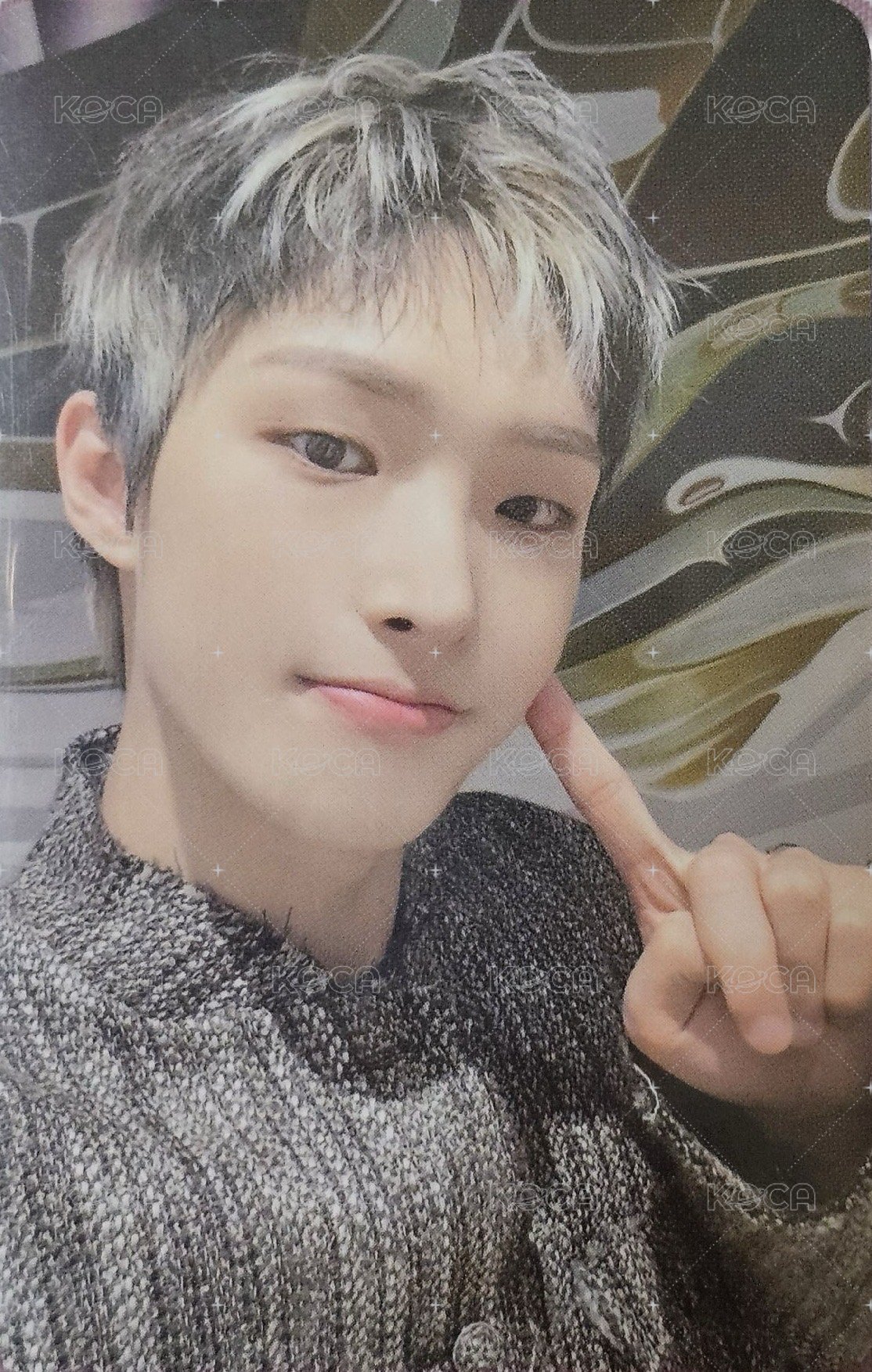 Fromm Subscription fromm 特典卡  正面